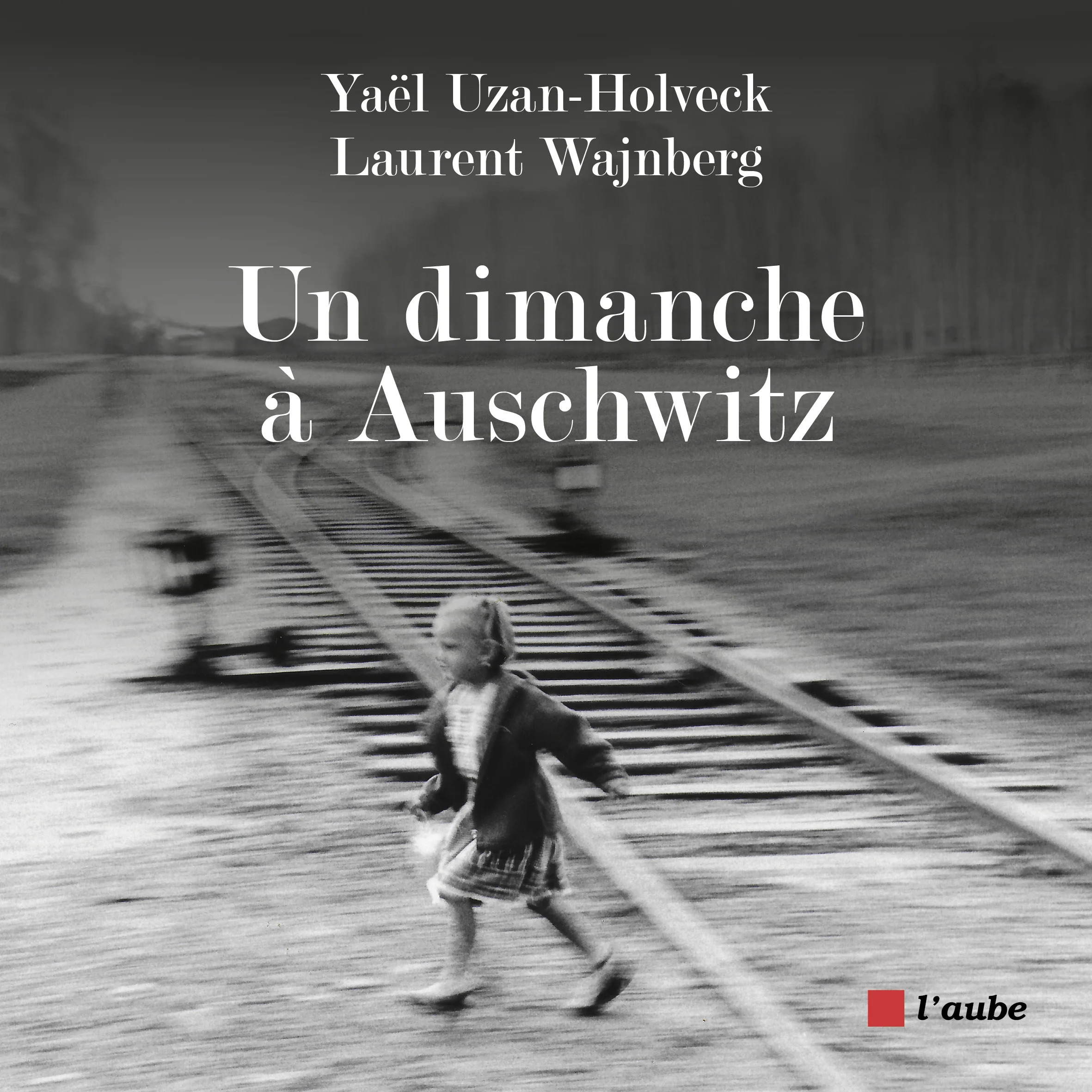 Un-dimanche-à-Auschwitz.jpg (875 KB)
